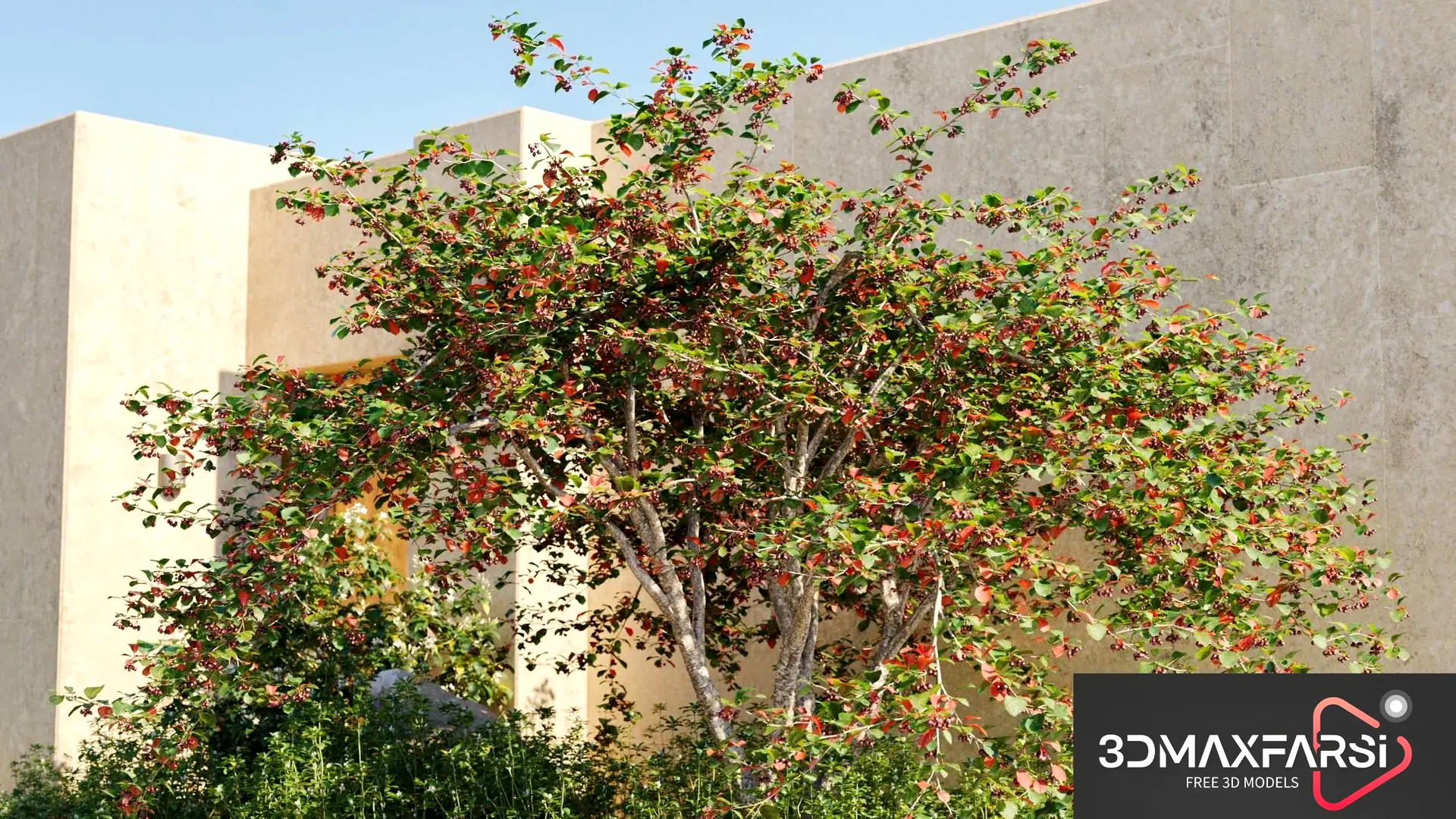 Maxtree – Plant Models Vol 76: plant models