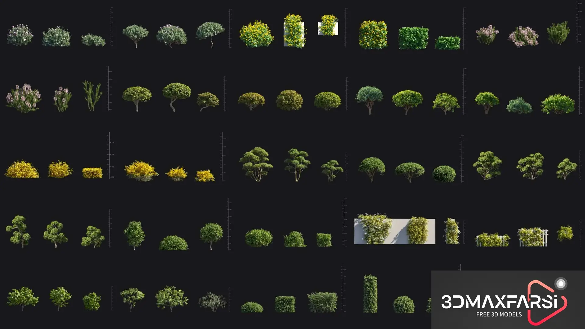 Maxtree – Plant Models Vol 77