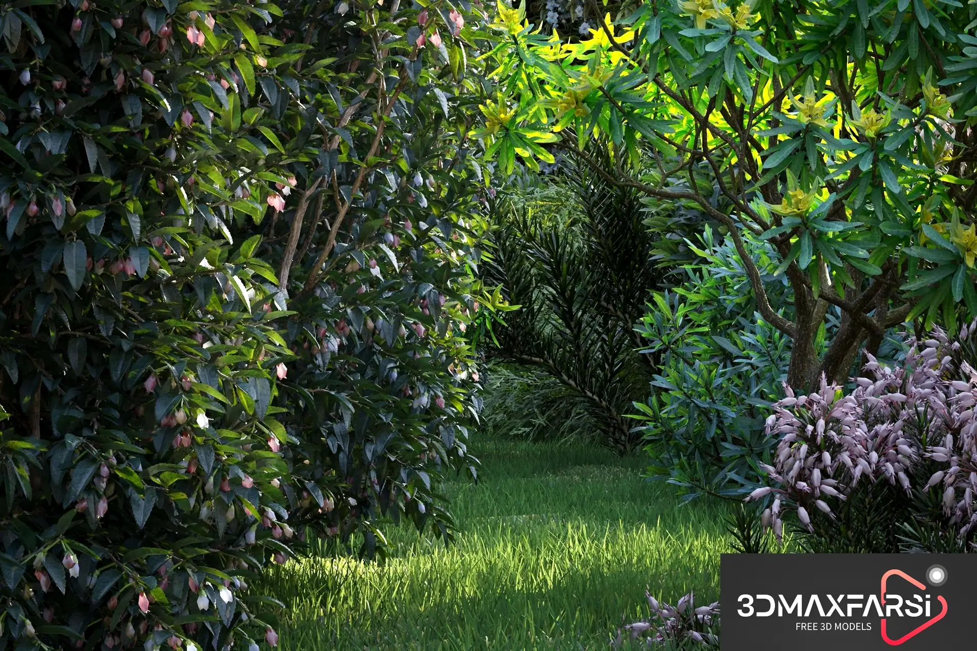 Maxtree – Plant Models Vol 77 3D plant models