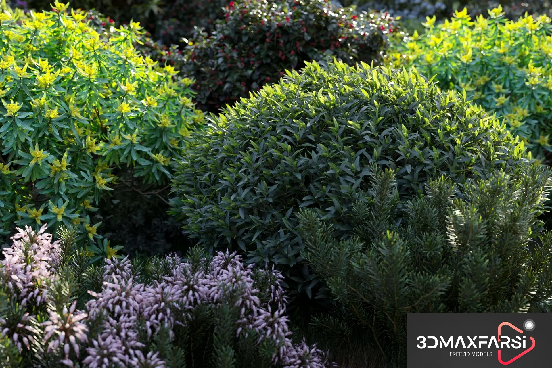 Maxtree – Plant Models Vol 77: 3D plant models
