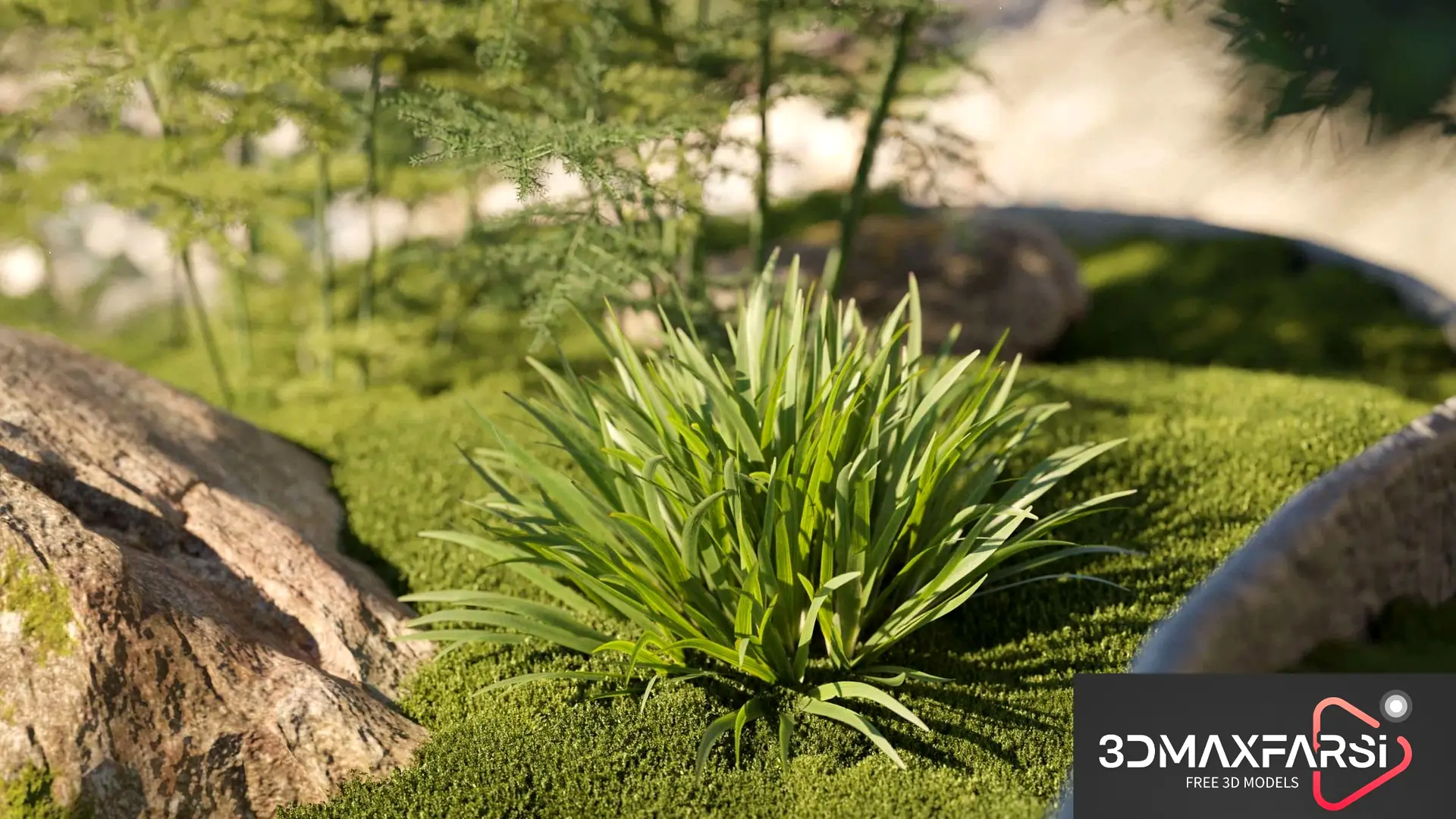 Maxtree – Plant Models Vol 78: 3D bonsai plant models
