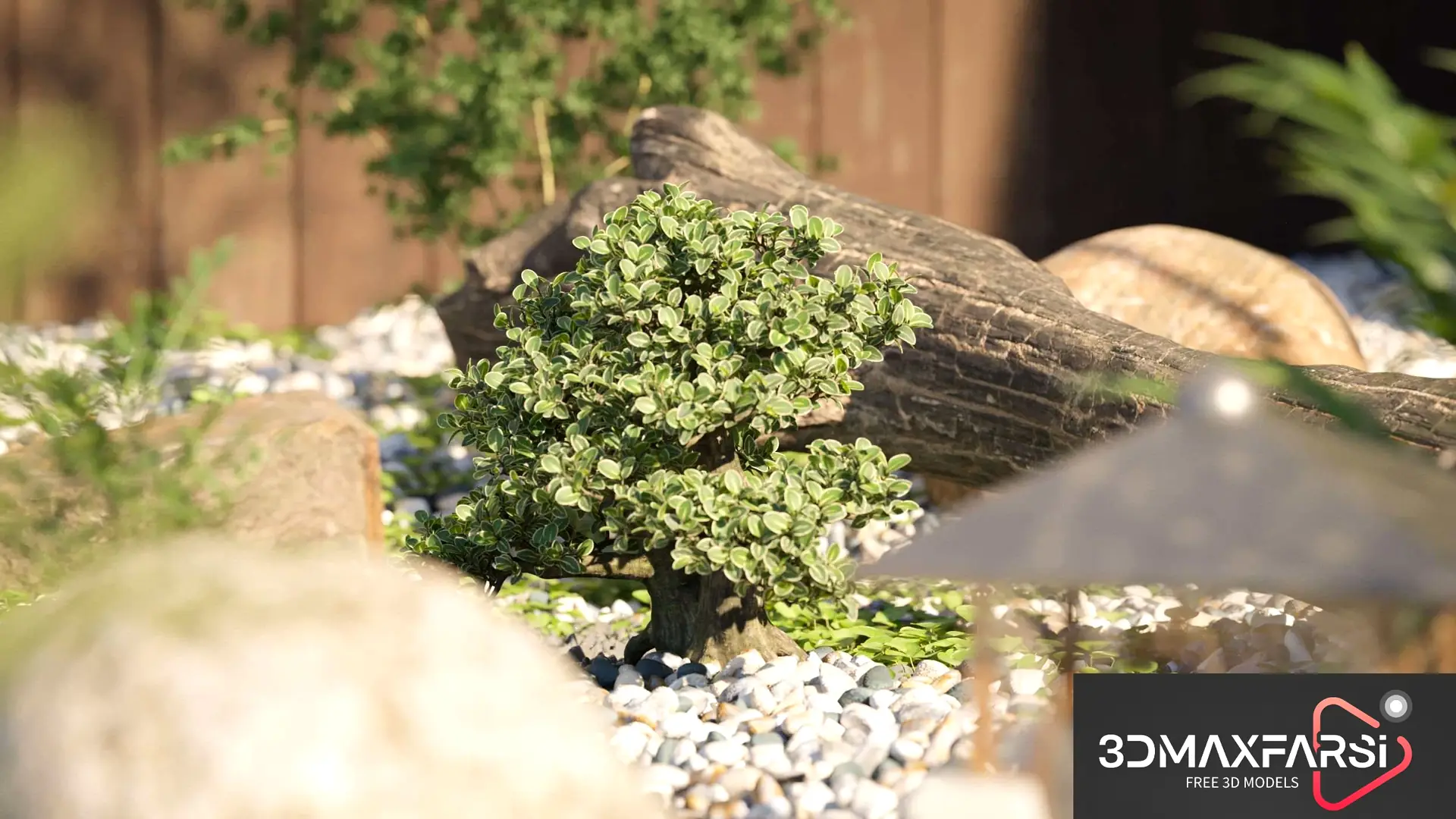 Maxtree – Plant Models Vol 78: 3D bonsai plant models free
