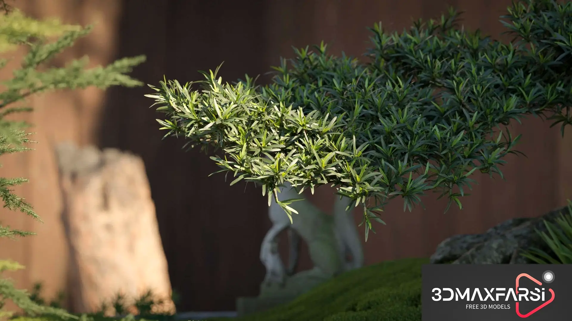 Maxtree – Plant Models Vol 78: 3D bonsai plant models download