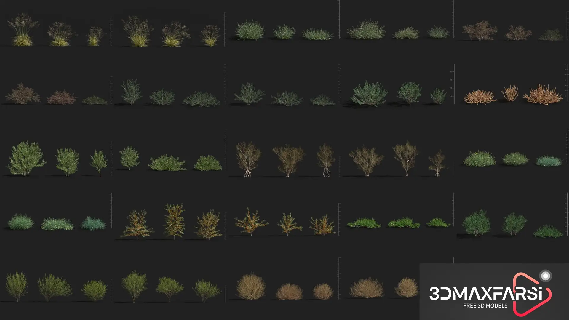 Plant Models Vol 79