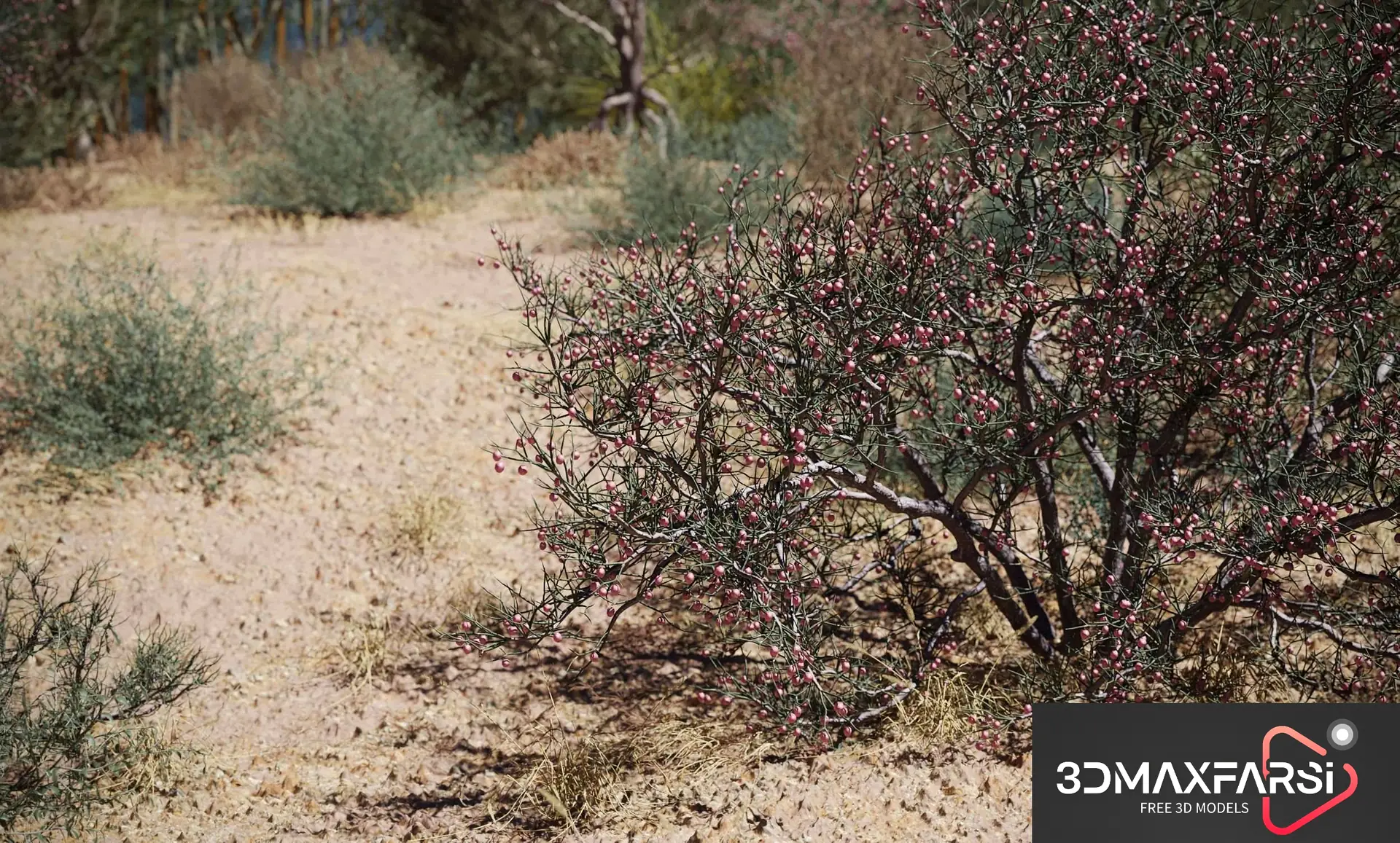 Maxtree – Plant Models Vol 79: 3D plant models