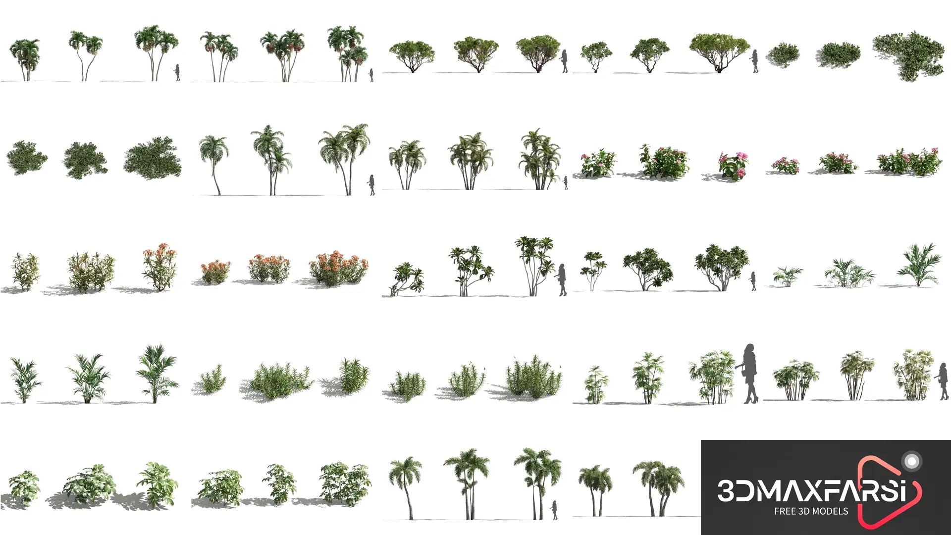 Plant Models Vol 80