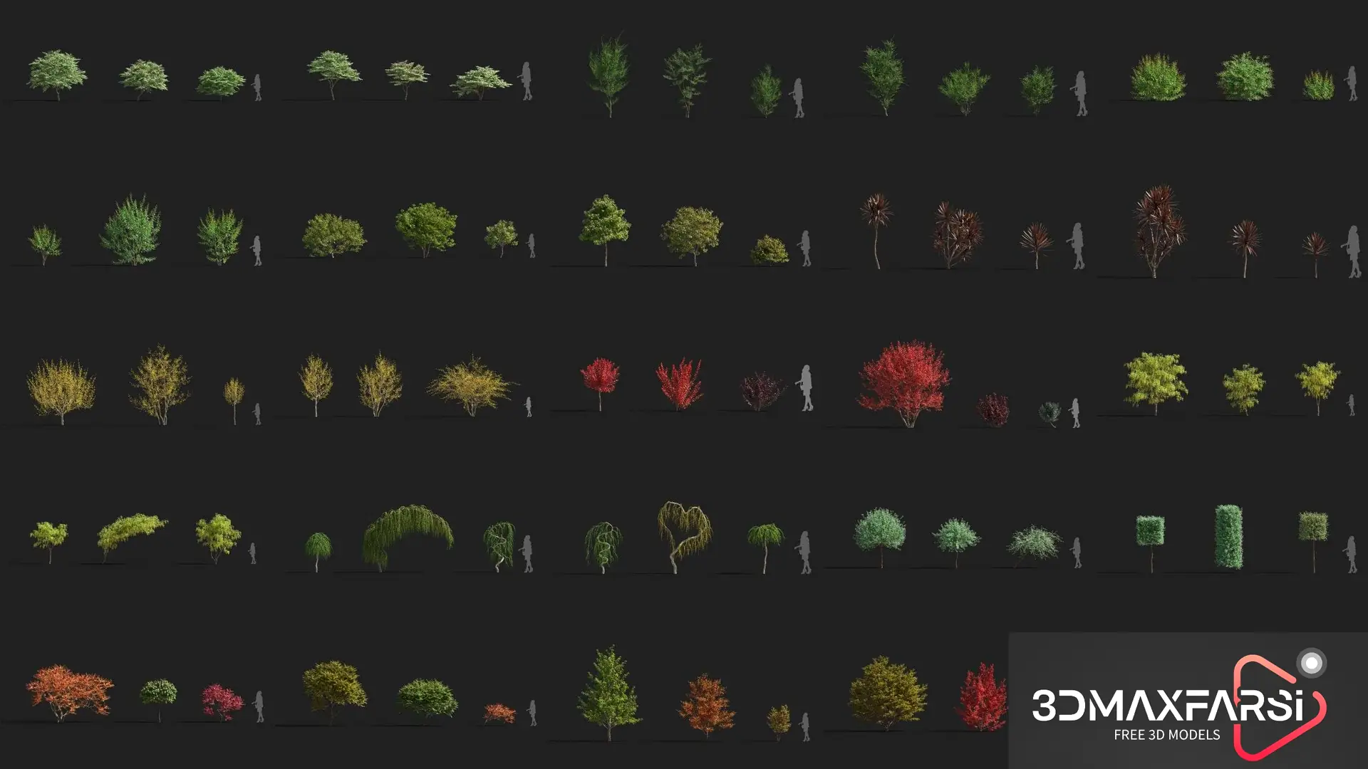 Plant Models Vol 81