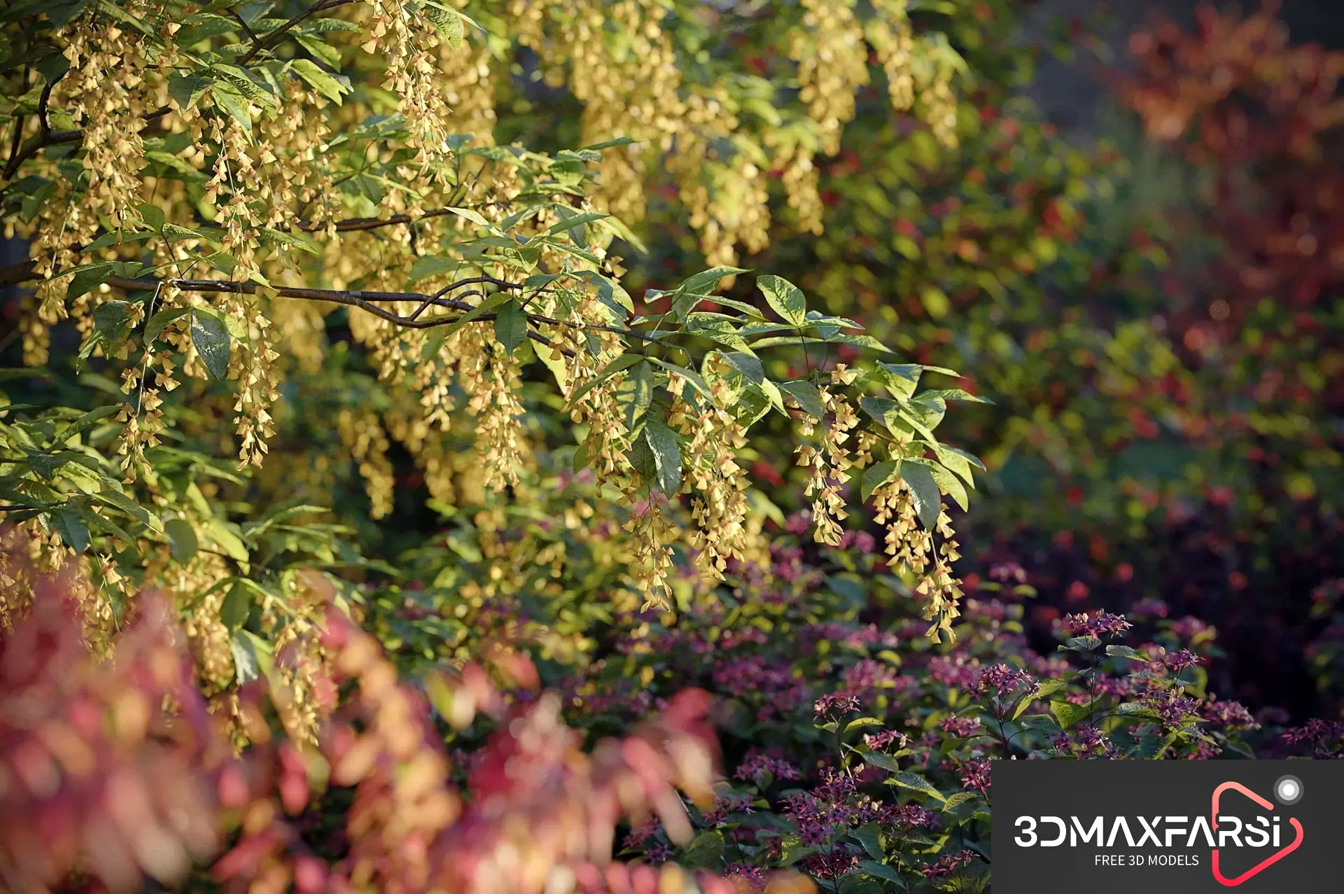 Maxtree – Plant Models Vol 81 free