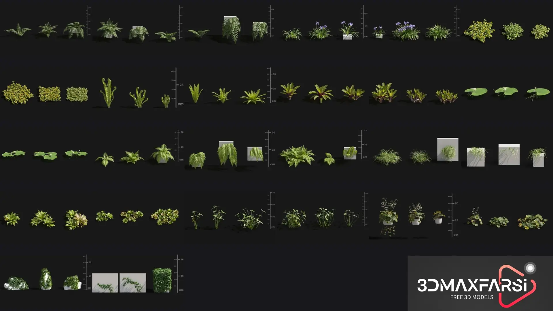 Plant Models Vol 82