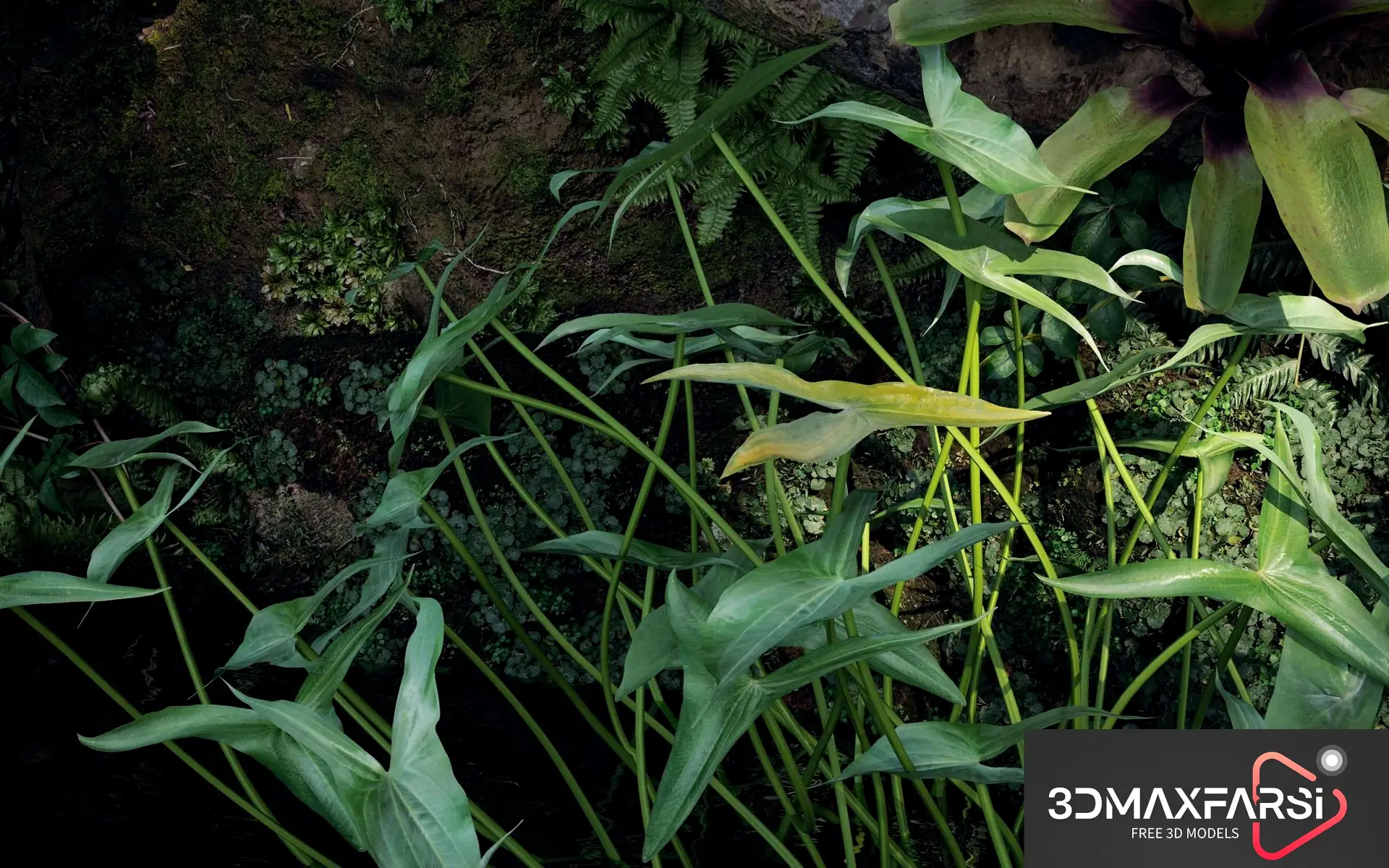 Maxtree – Plant Models Vol 82