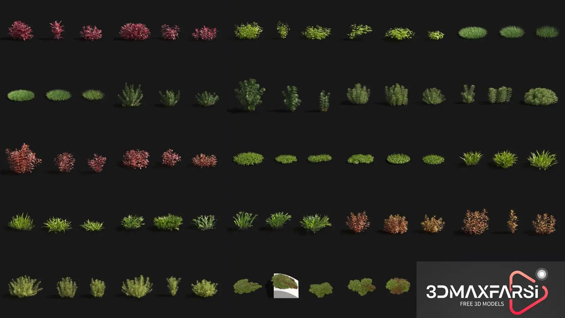 Maxtree – Plant Models Vol 83