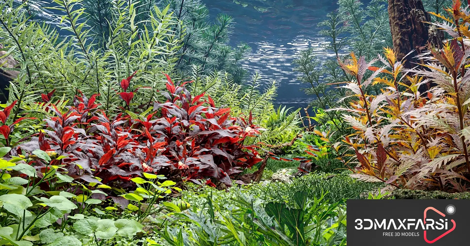 Maxtree – Plant Models Vol 83 free