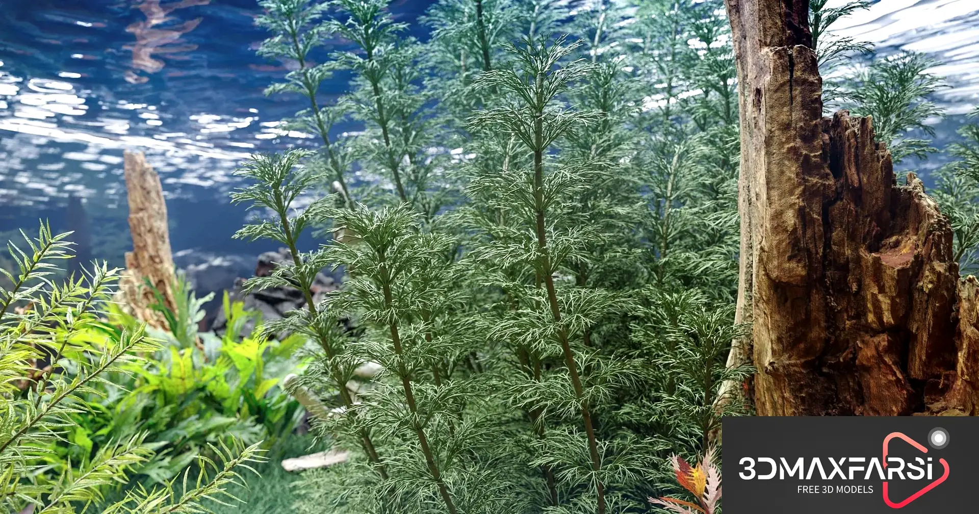 Maxtree Plant Models Vol 83