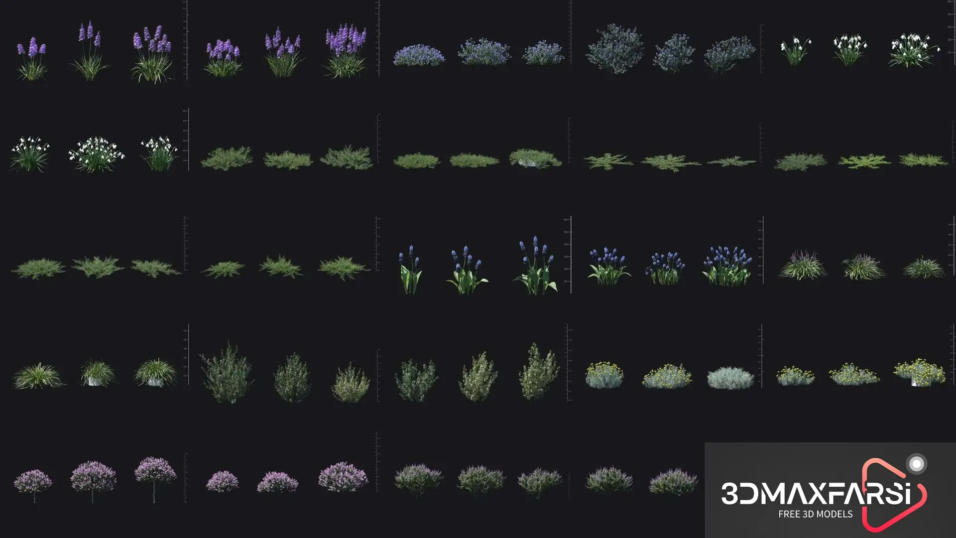 Plant Models Vol 84