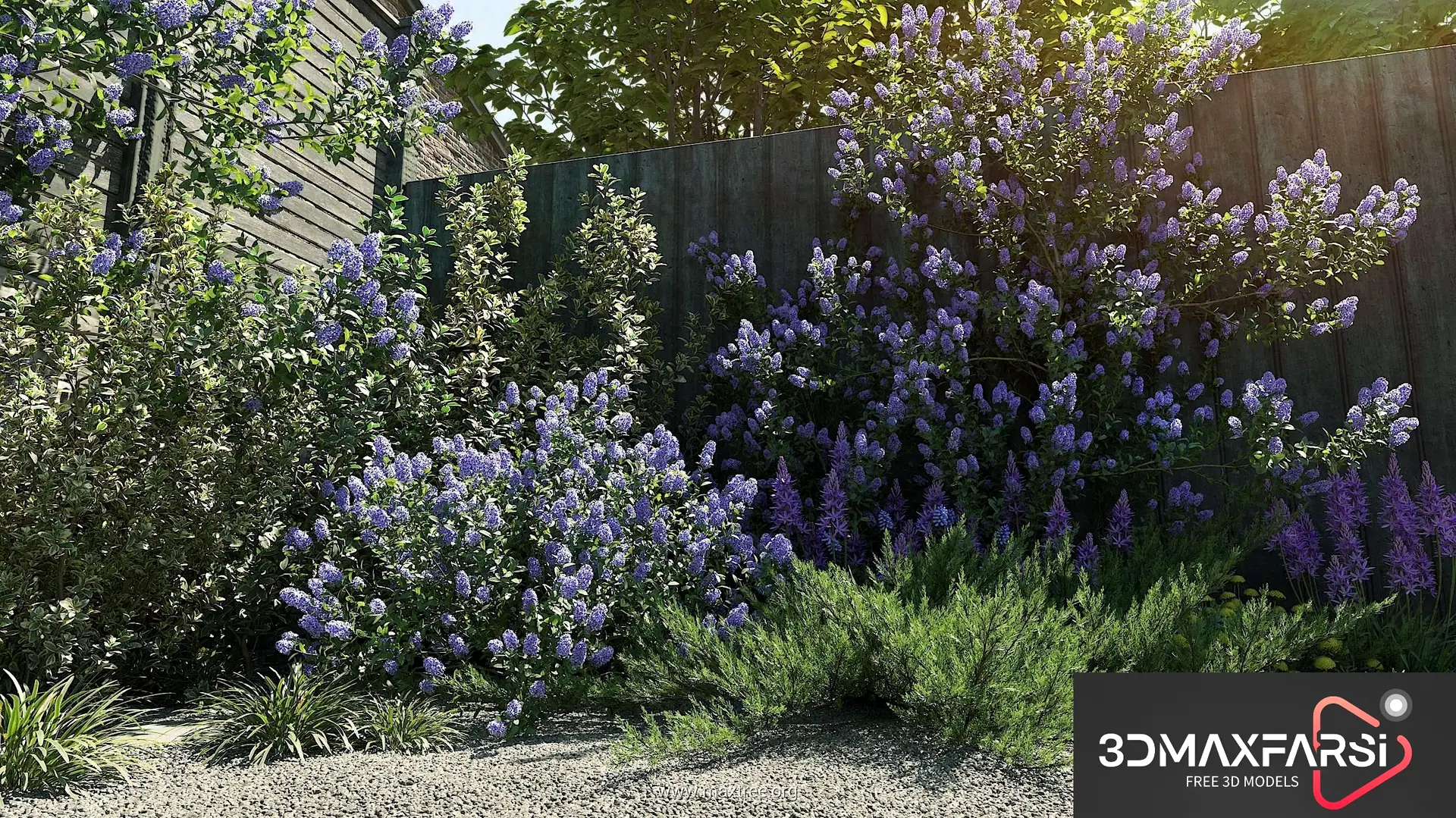 Maxtree – Plant Models Vol 84 free