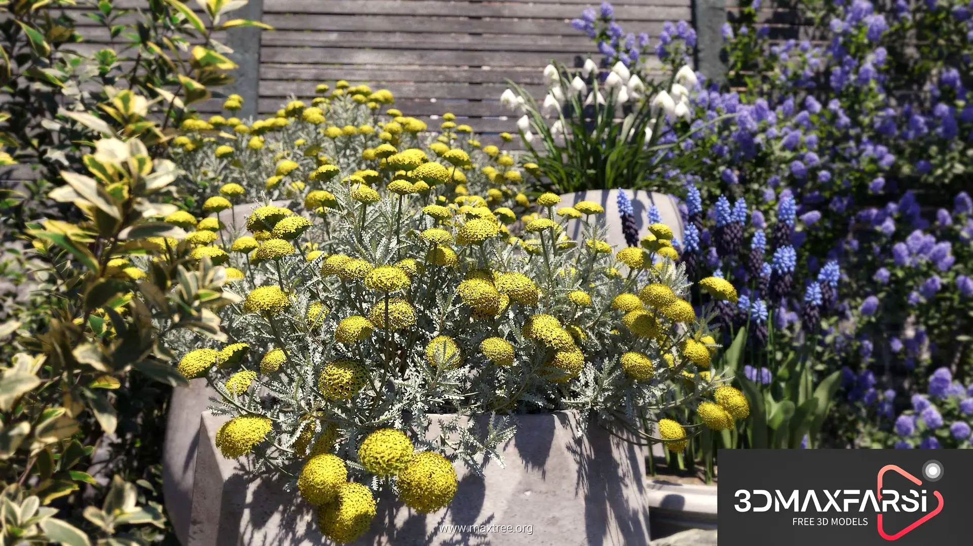 Maxtree – Plant Models Vol 84