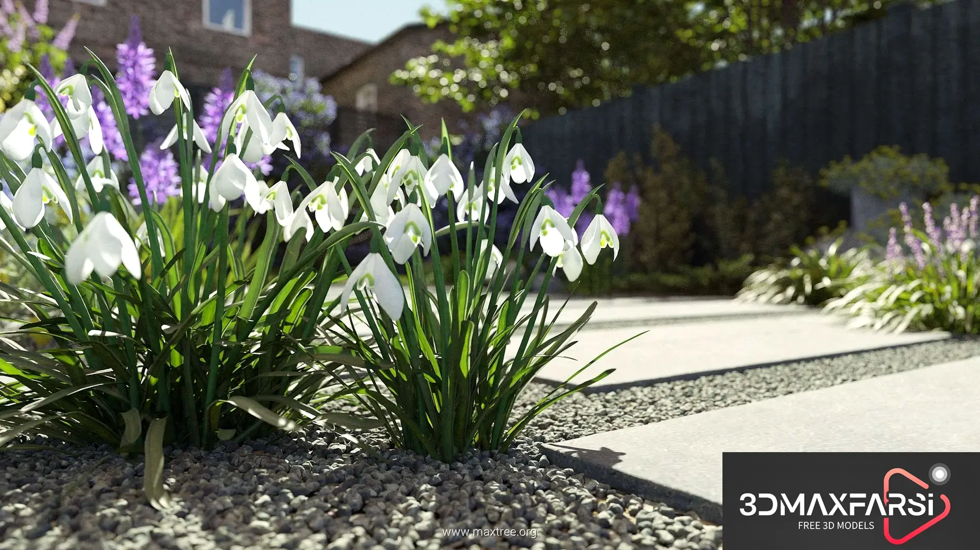 Maxtree – Plant Models Vol 84 free download