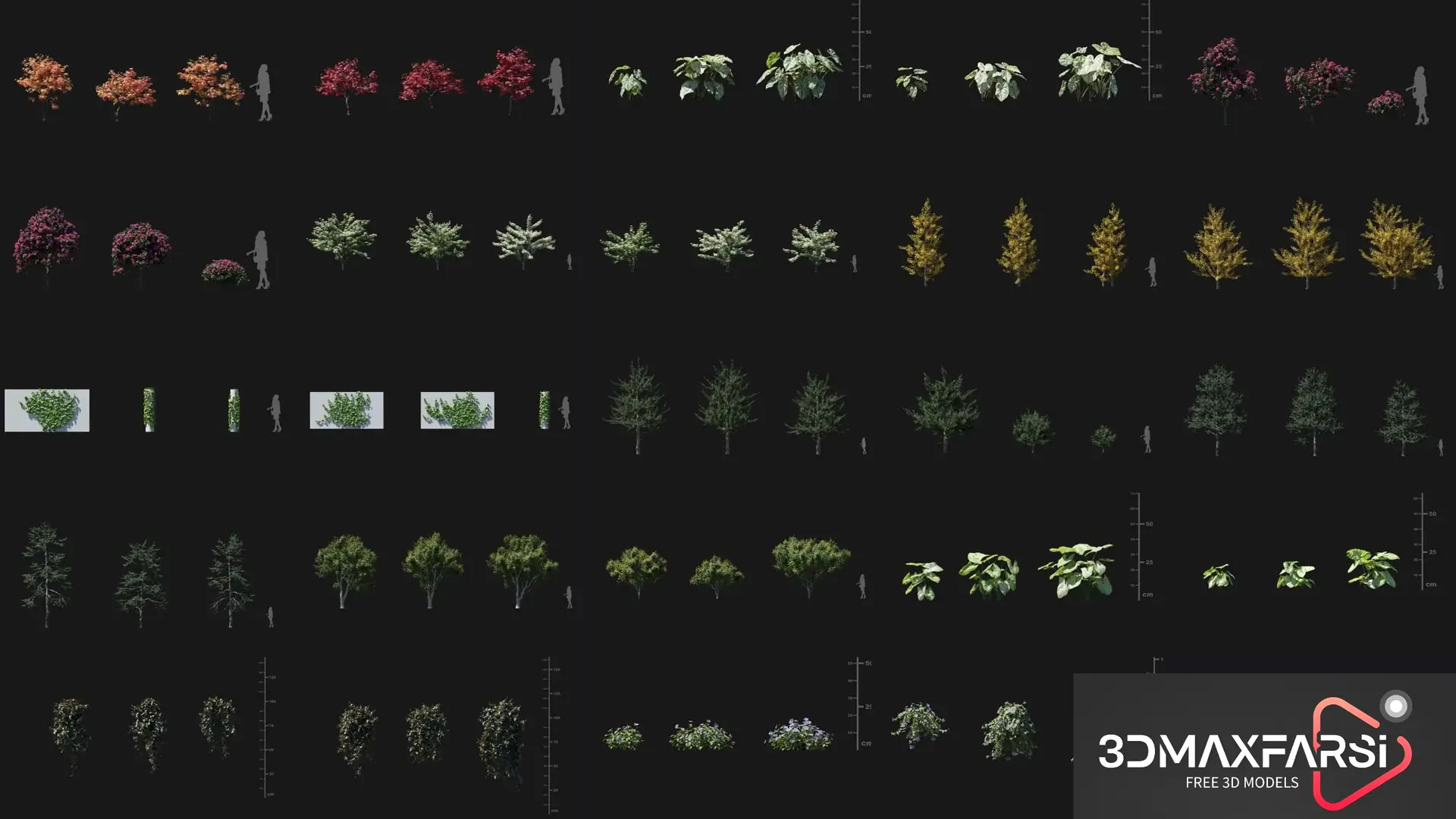 Plant Models Vol 86