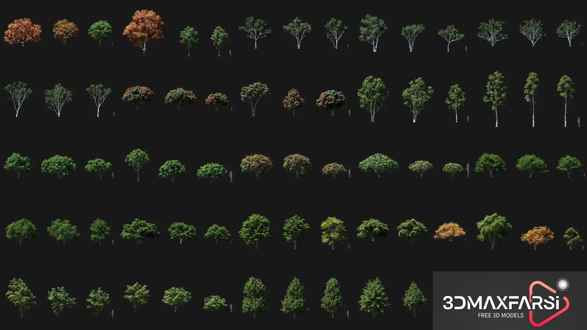 Plant Models Vol 87