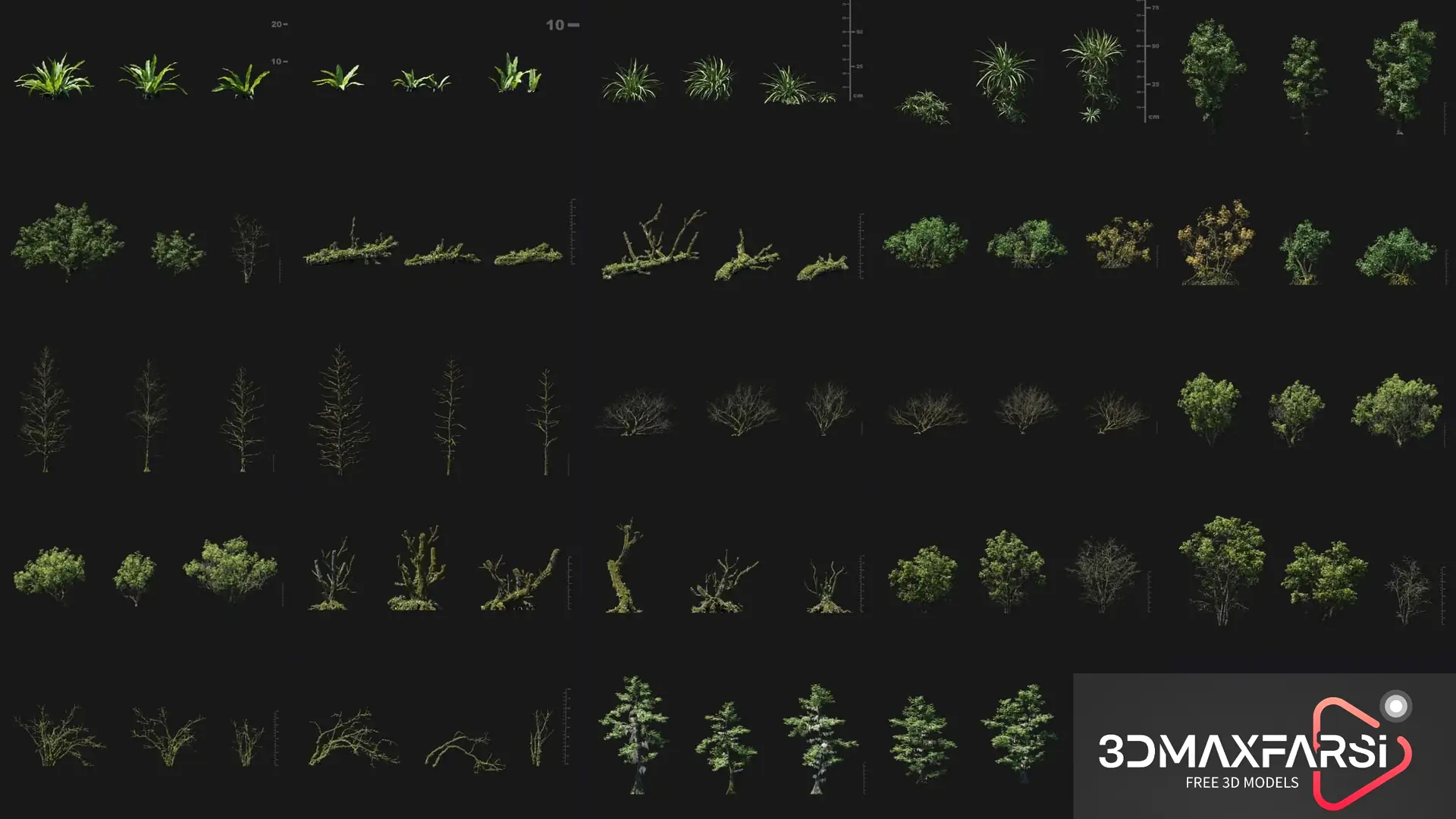Maxtree – Plant Models Vol 88