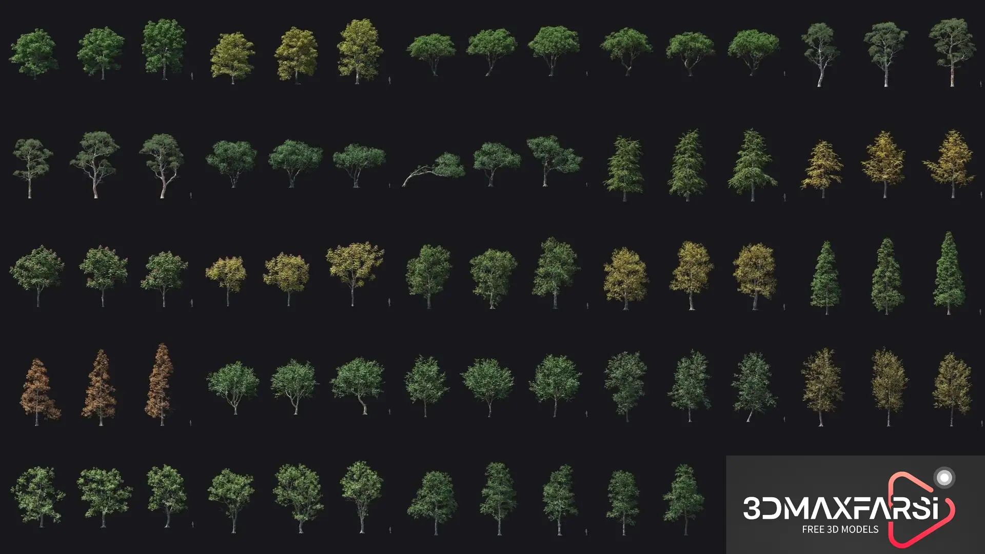 Maxtree – Plant Models Vol. 89