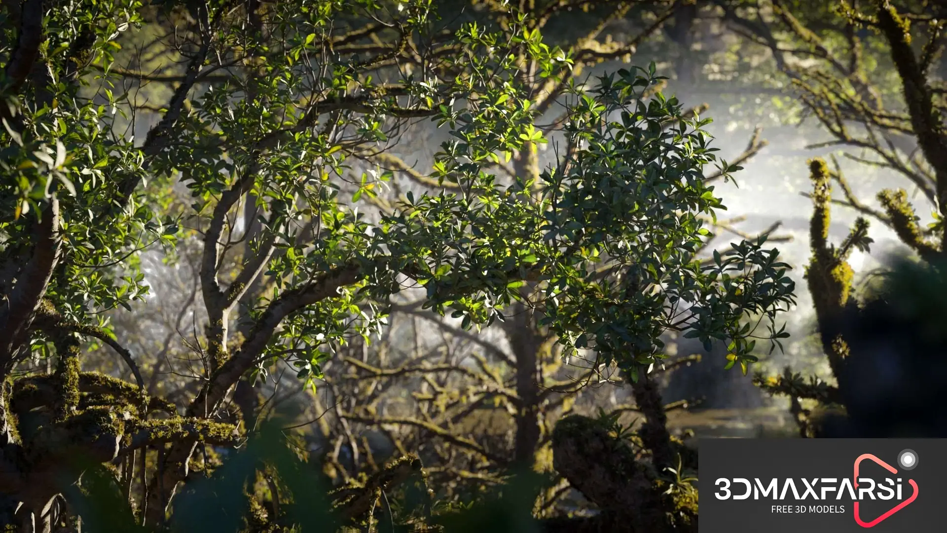 Maxtree Plant Models Vol 88
