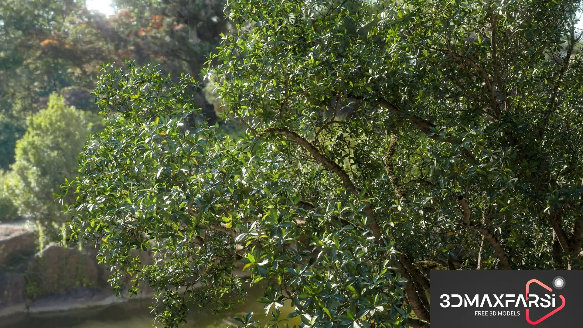 Maxtree – Plant Models Vol 88 free