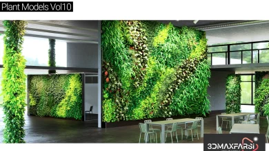 Maxtree – Plant Models Vol 10 free download