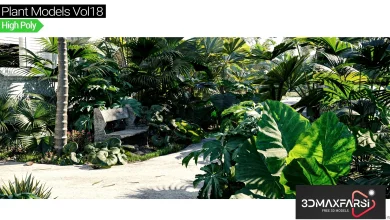 Maxtree – Plant Models Vol 18 free download