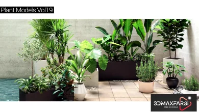 Maxtree – Plant Models Vol 19 free download