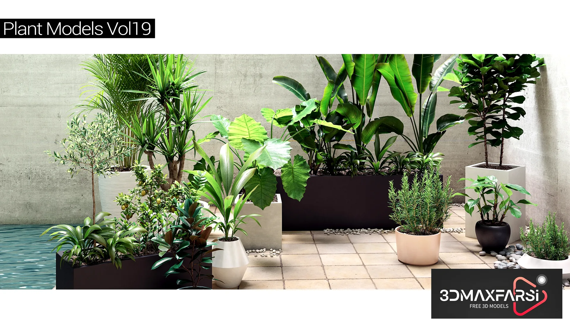 Maxtree – Plant Models Vol 19 free download