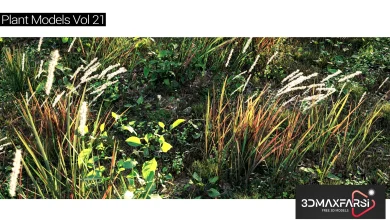 Maxtree – Plant Models Vol 21 free download