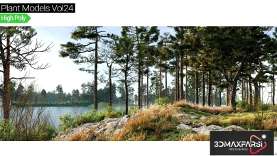 Maxtree – Plant Models Vol 24 free download