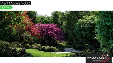 Maxtree – Plant Models Vol 32 free download