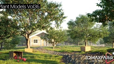 Maxtree – Plant Models Vol 36 free download