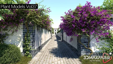 Maxtree – Plant Models Vol 37 free download