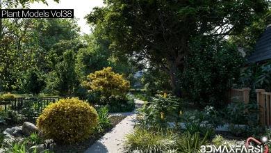Maxtree – Plant Models Vol 37