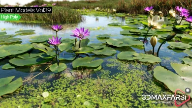 Maxtree – Plant Models Vol 39 free download