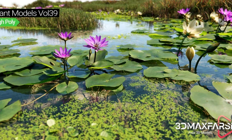 Maxtree – Plant Models Vol 39 free download