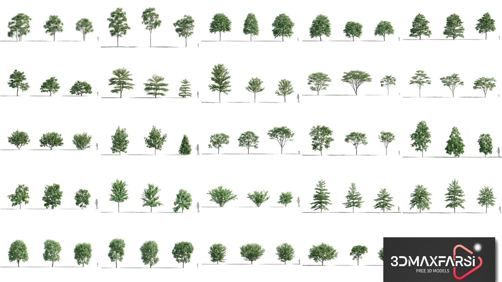 Plant Models Vol 46