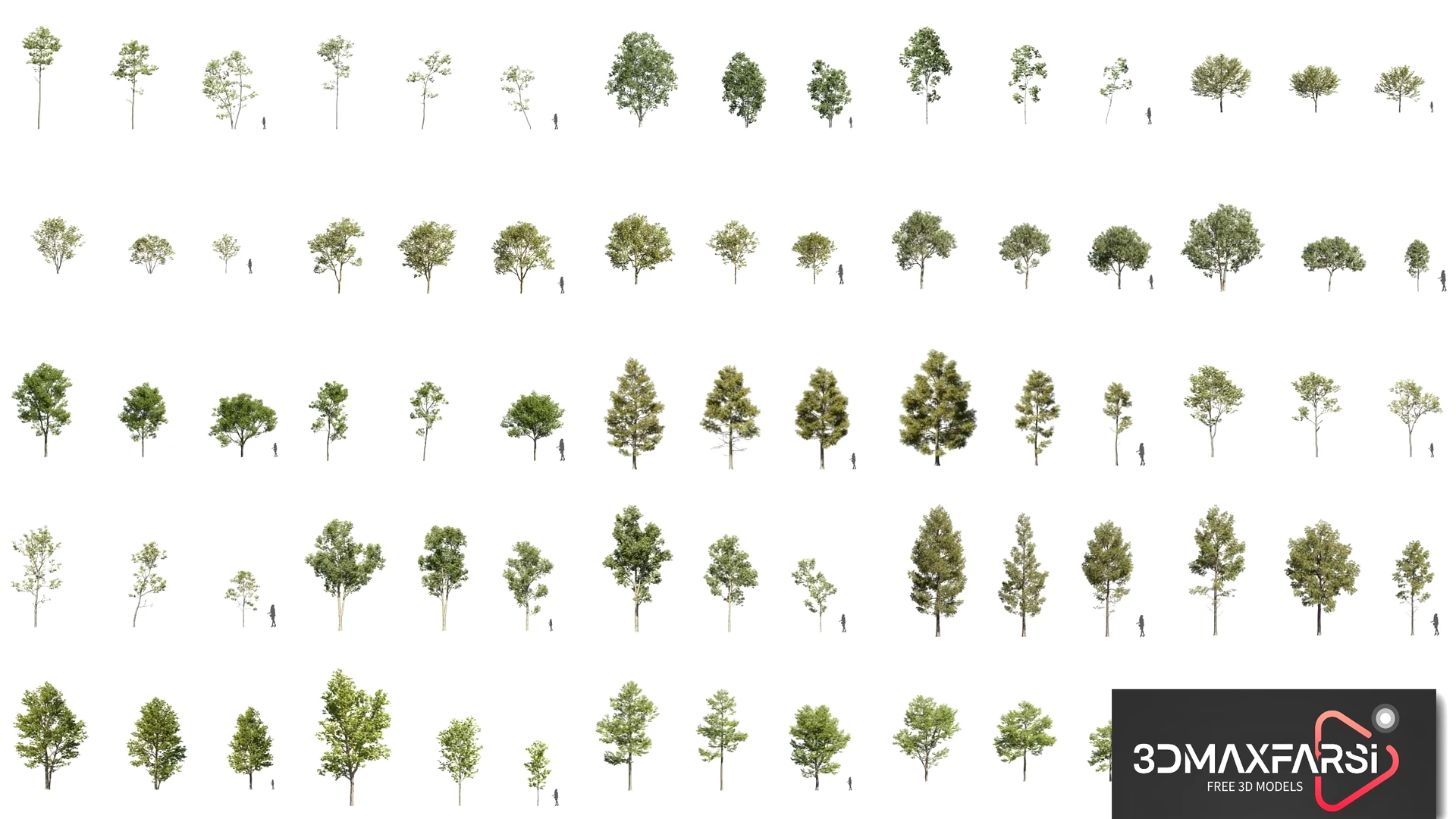 Plant Models Vol 47