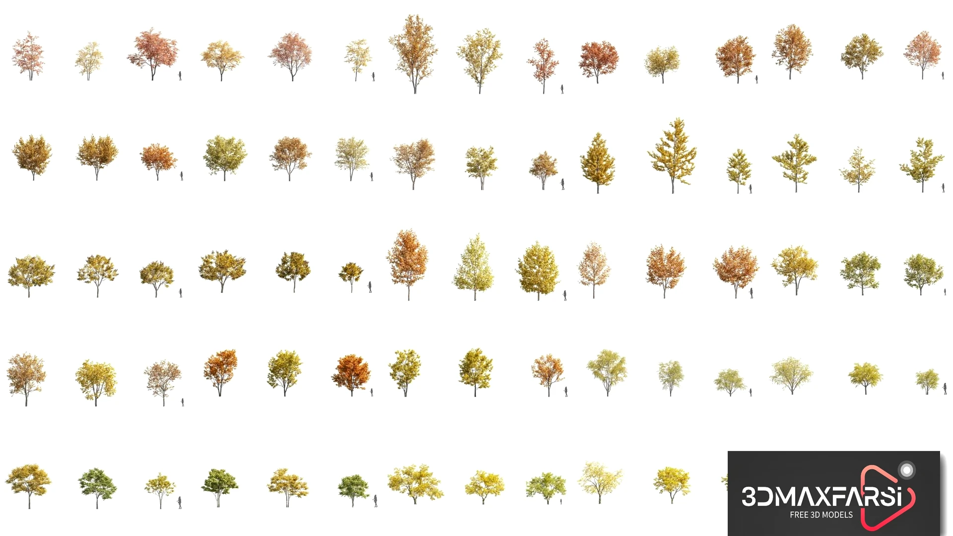 Maxtree – Plant Models Vol. 48