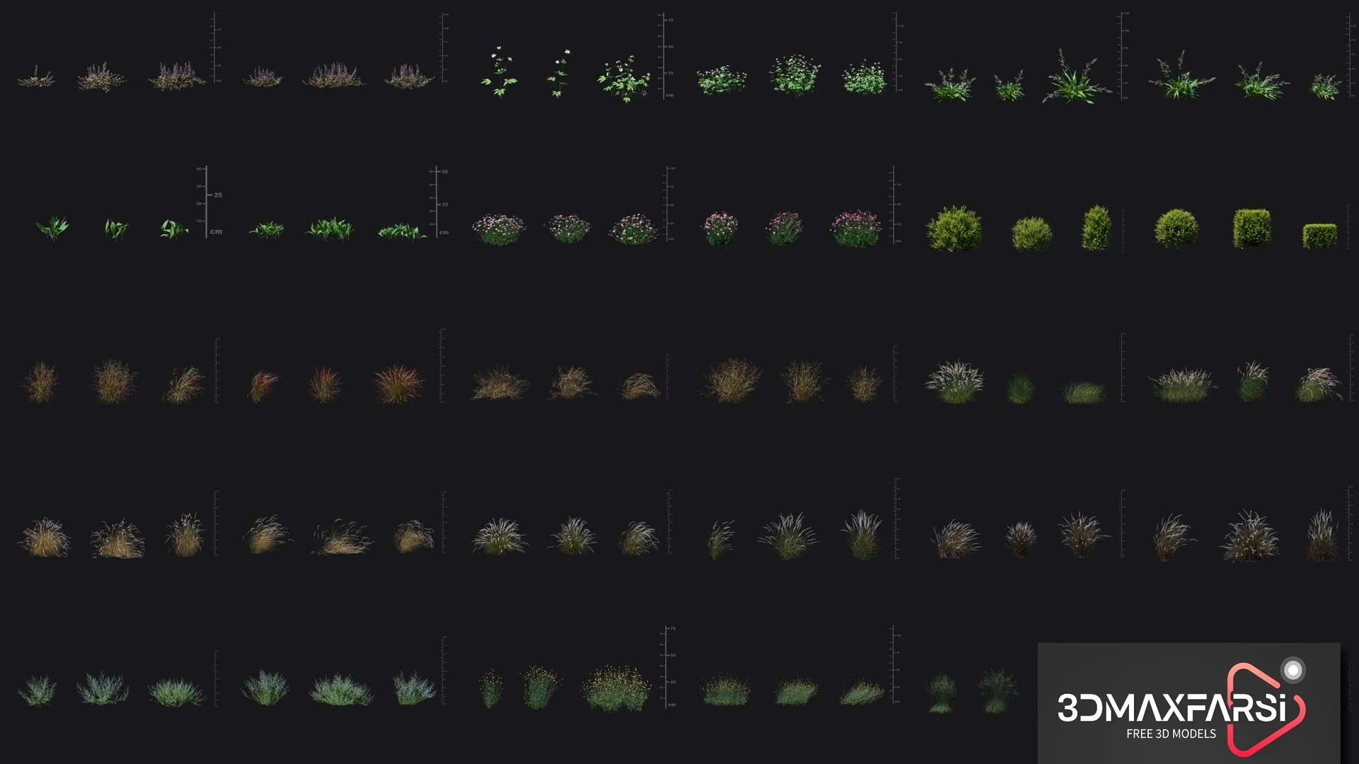 Plant Models Vol 49