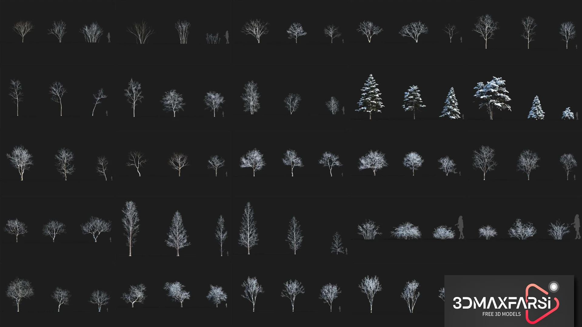 Maxtree – Plant Models Vol 50