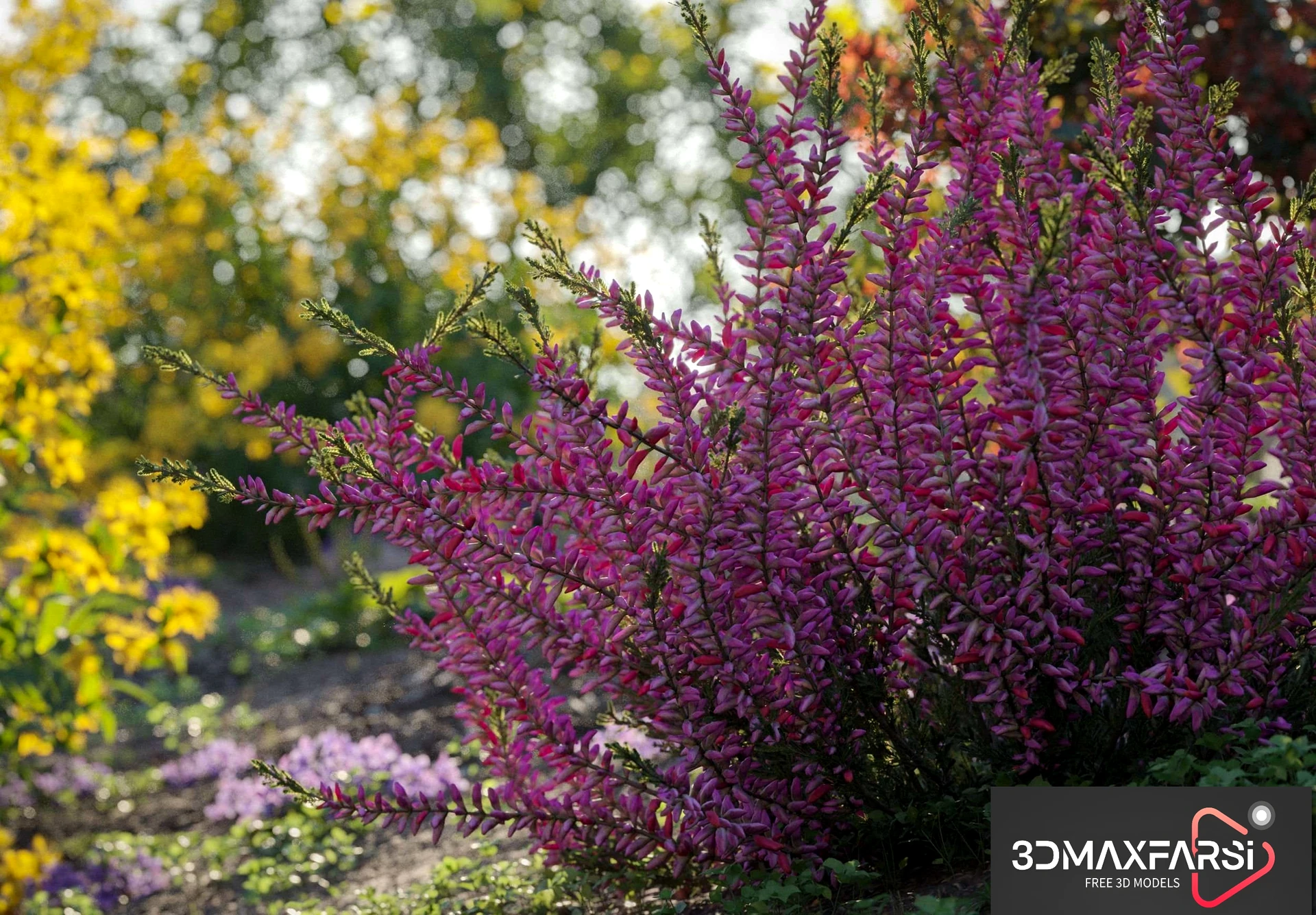 [Download] Maxtree – Plant Models Vol 50: 3D plant