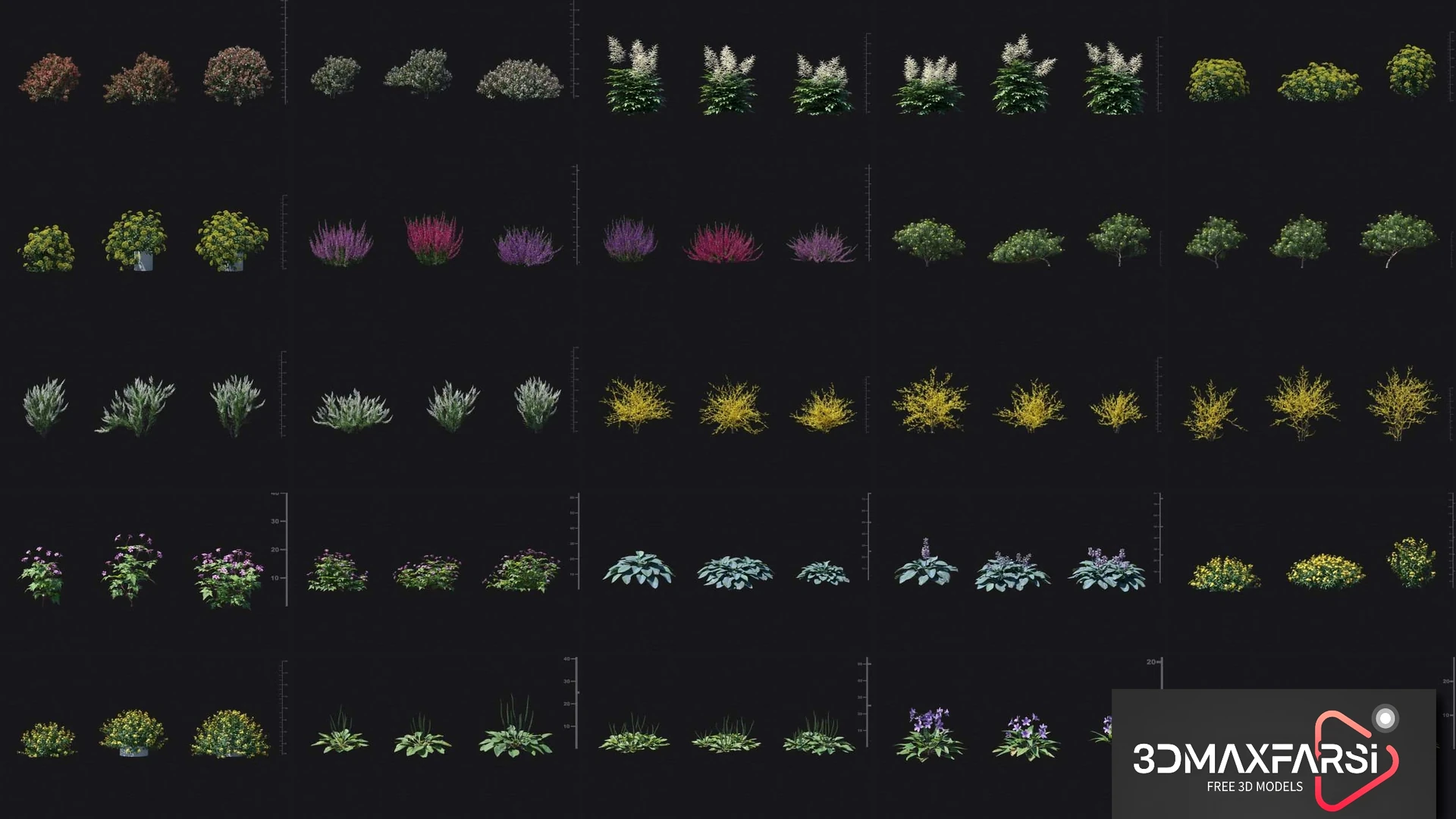 Maxtree – Plant Models Vol 50: 3D plant models