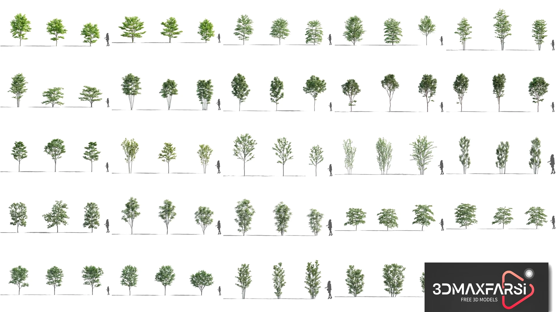 Plant Models Vol 52