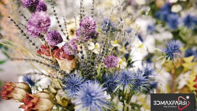 Maxtree – Plant Models Vol 53: 3D dried flower models