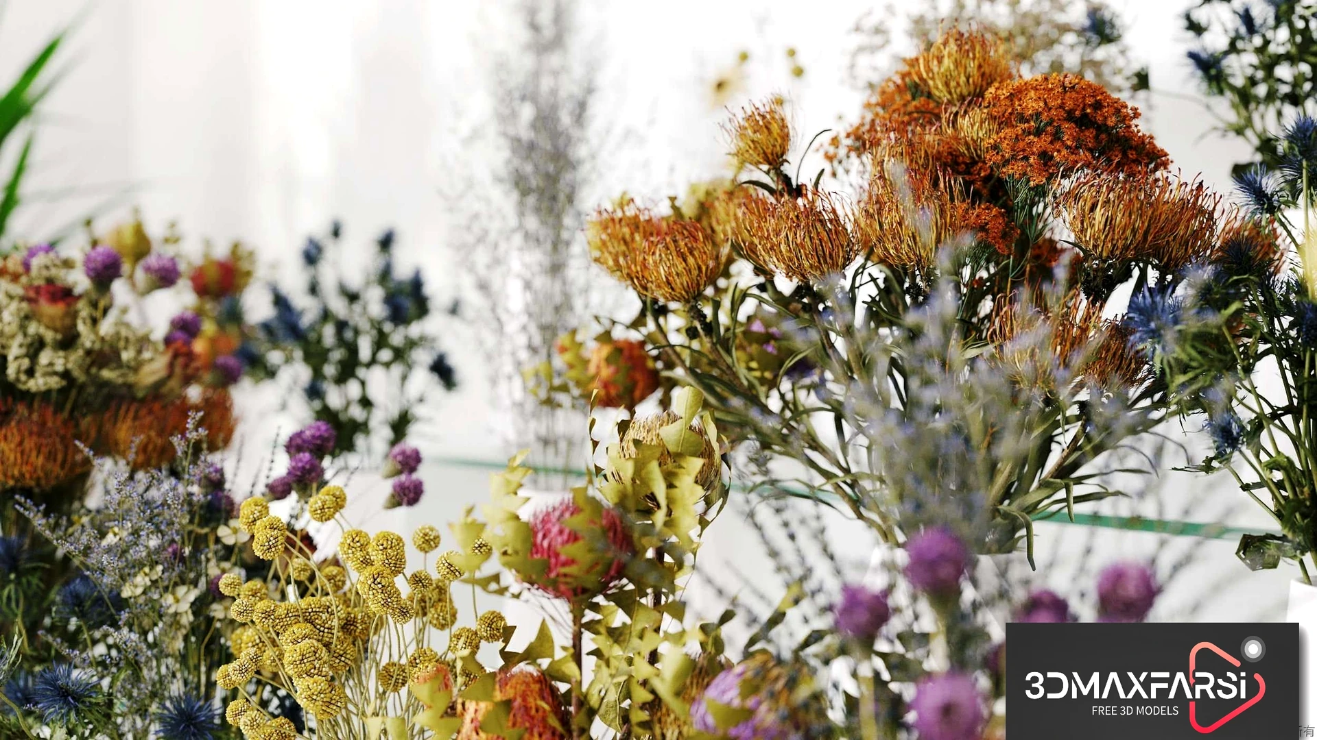 Plant Models Vol 53: 3D dried flower models