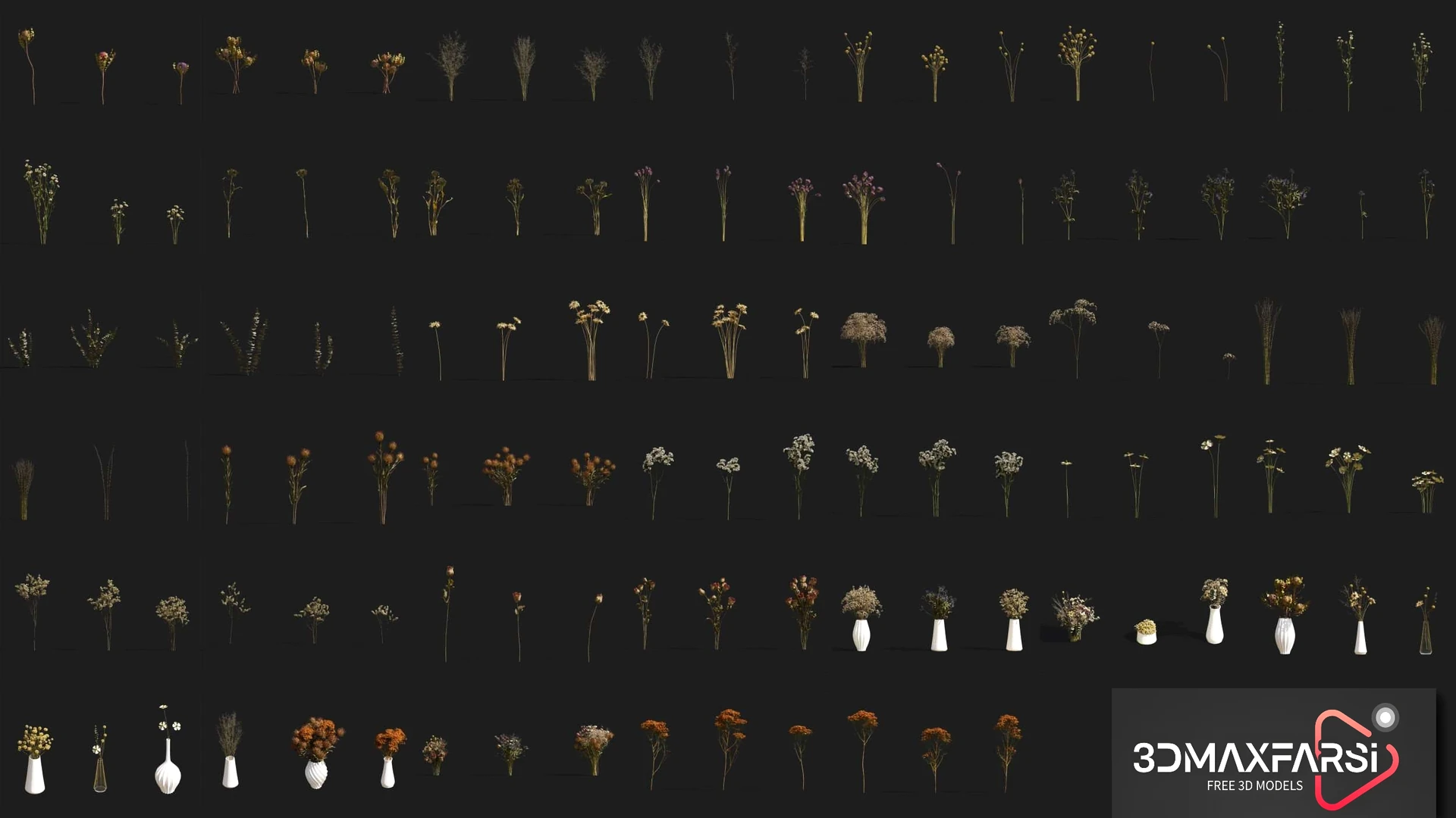 Plant Models Vol 53: 3D dried flower model